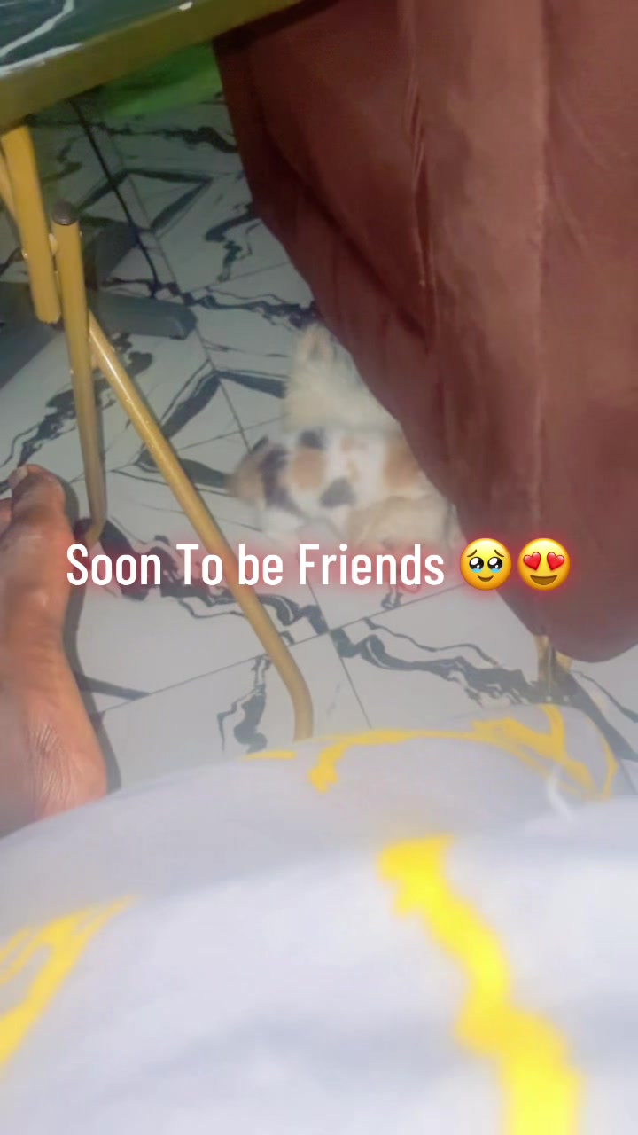 @🐱Deraspets🐶