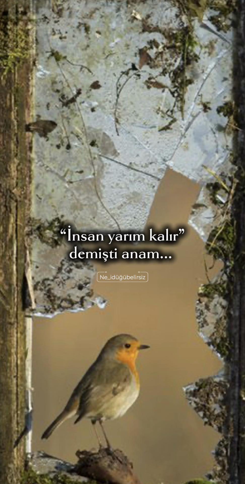 @ne_idugubelirsiz