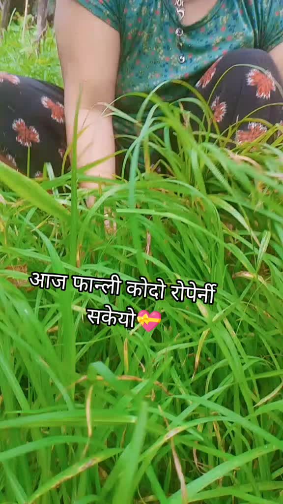 @Tulsi Xettri