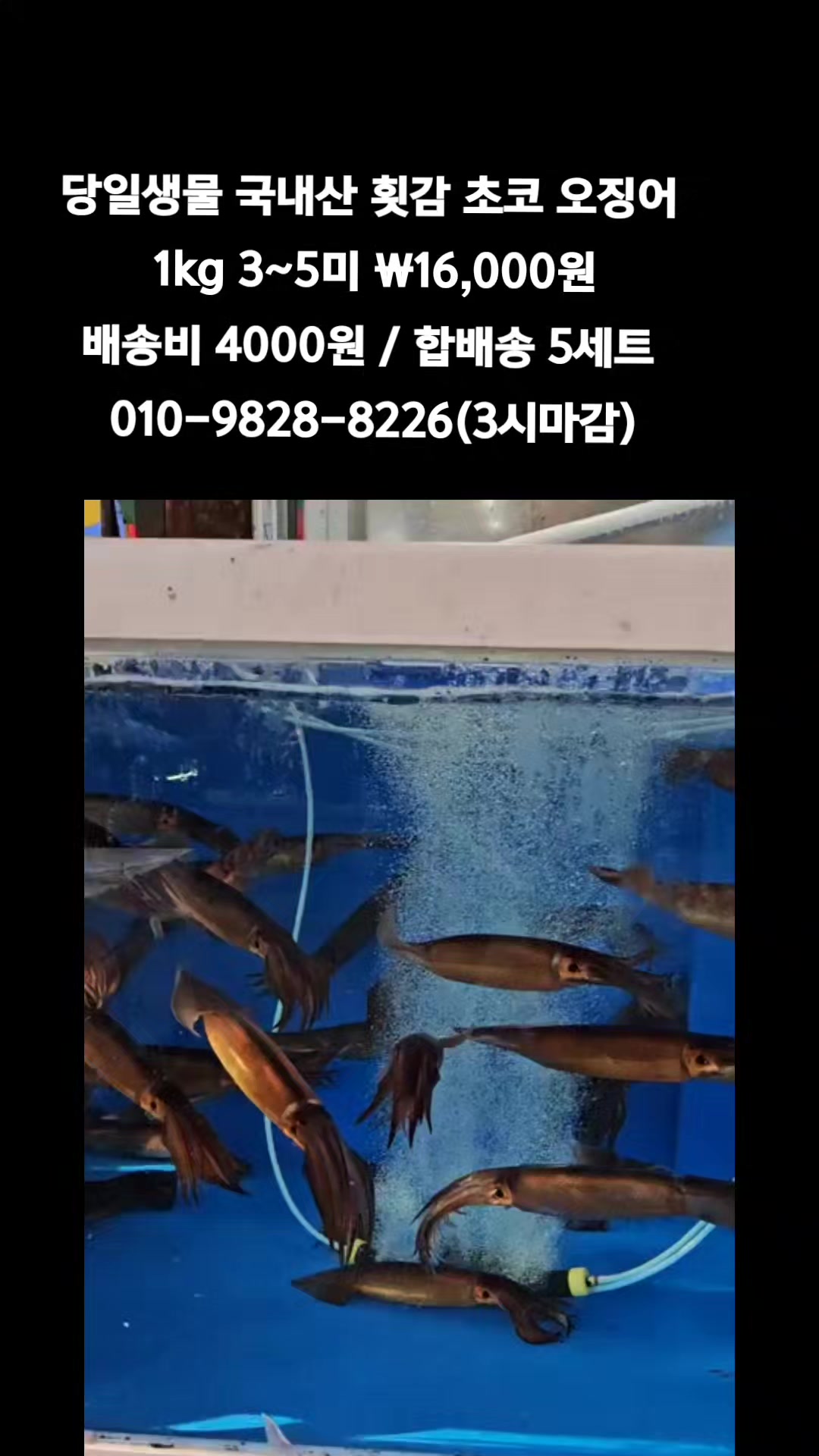 @똑손