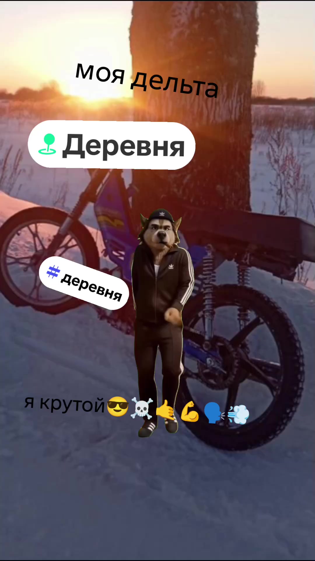 @UcShop_Redoif