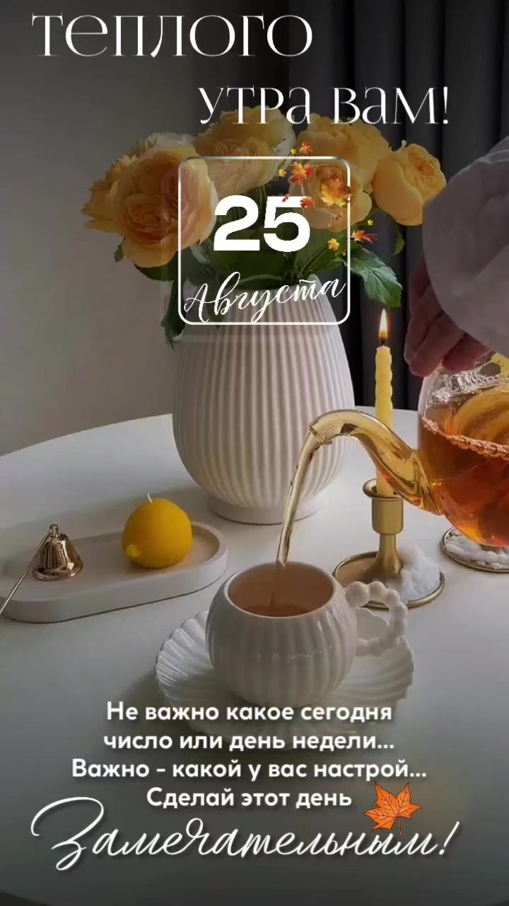 @꧁༺ 𝓞𝓵𝓰𝓪_𝓿.𝓭 ༻꧂