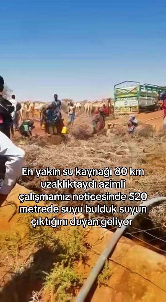 @Yalin kaya