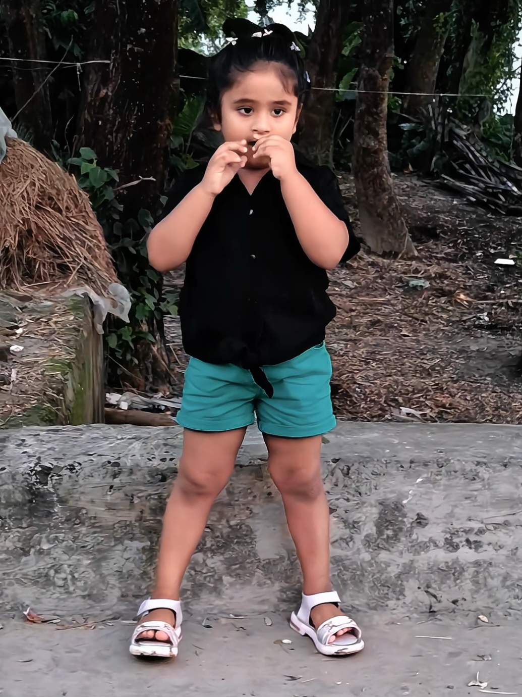 @Shantanu Royđ