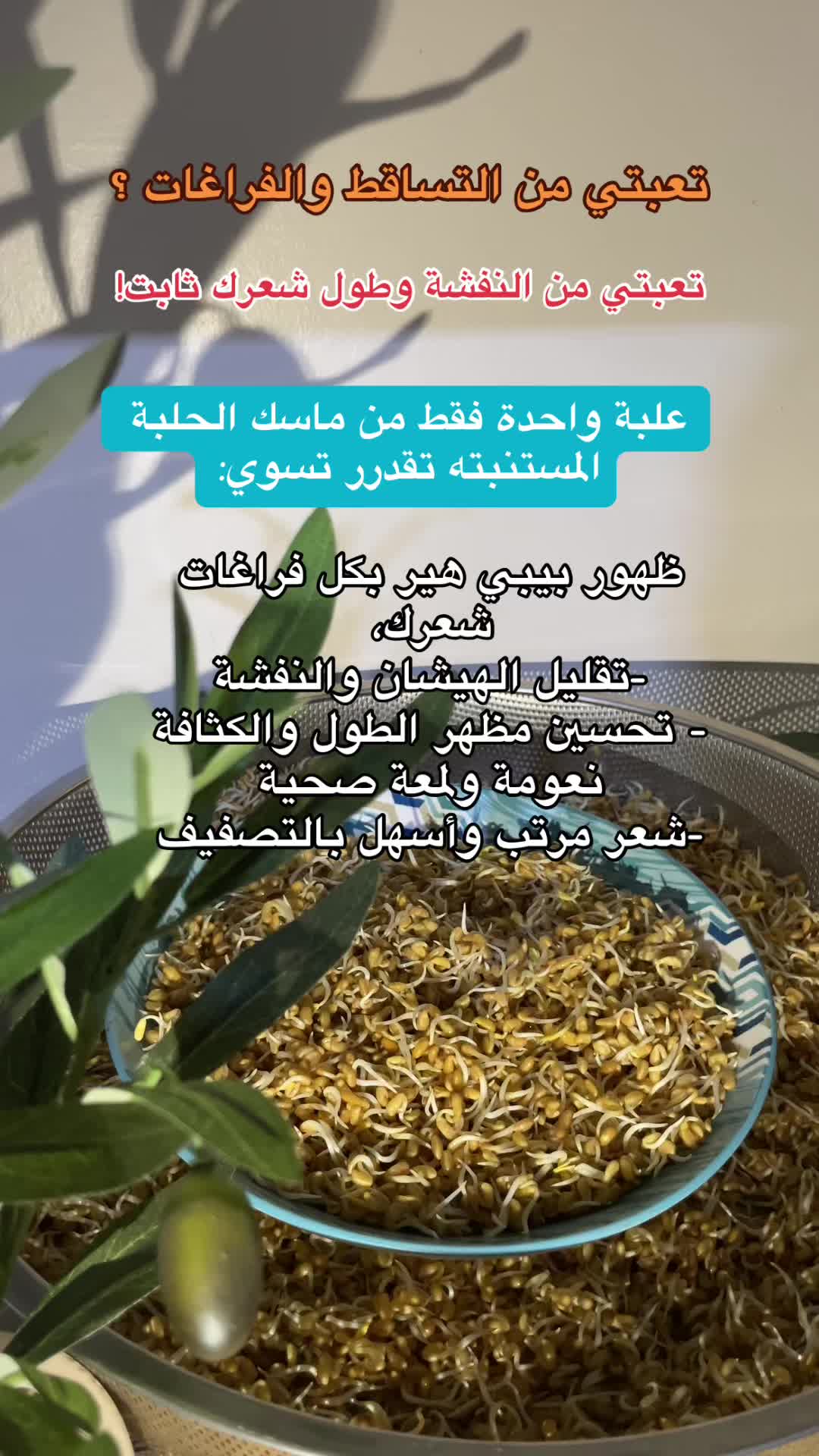 @رِقــة | RIQA