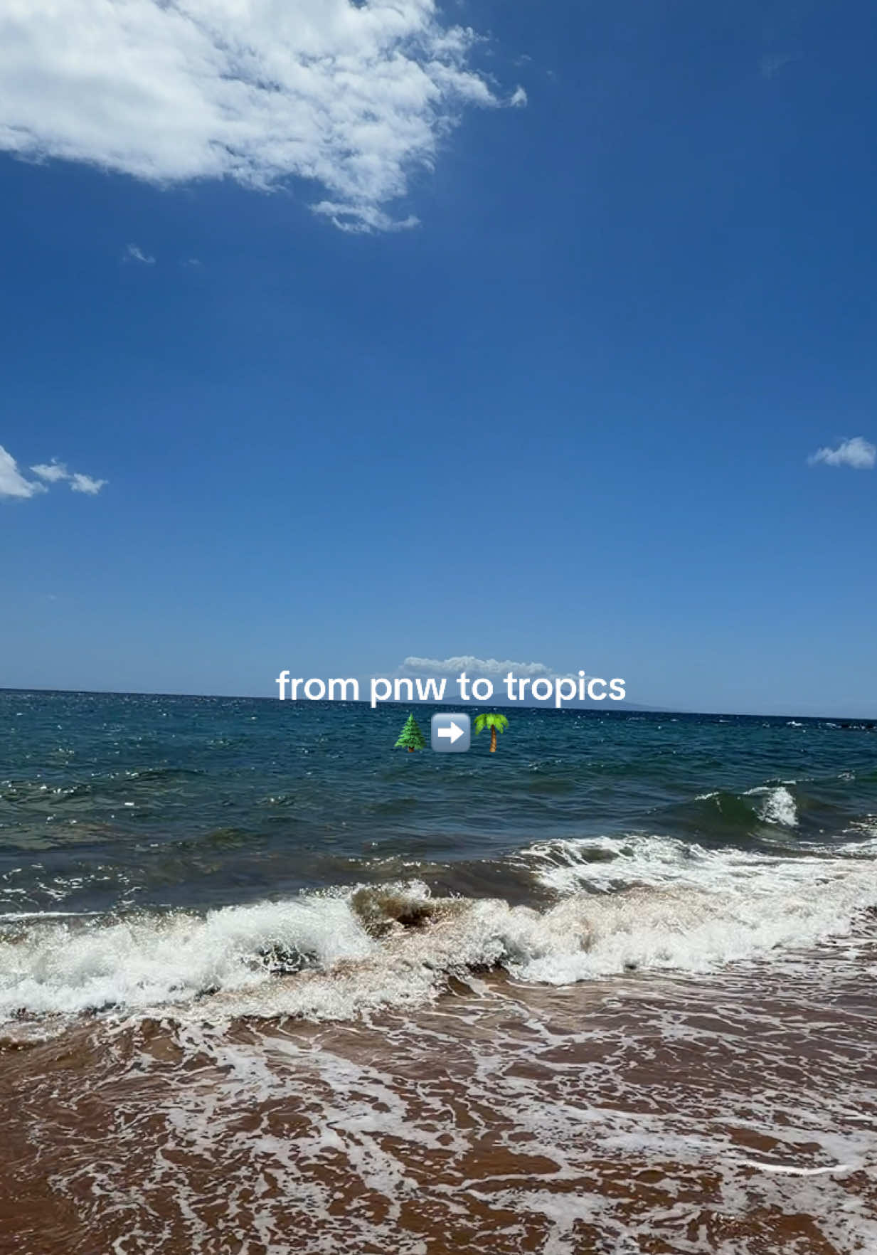 @Viksi | Traveler & Creator