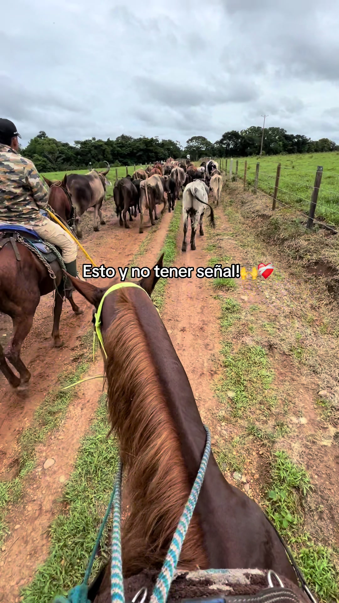 @Aleja🐴