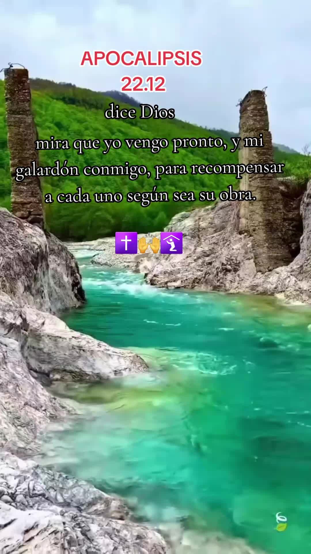 @🐢📽💻santos.f99📲🐢