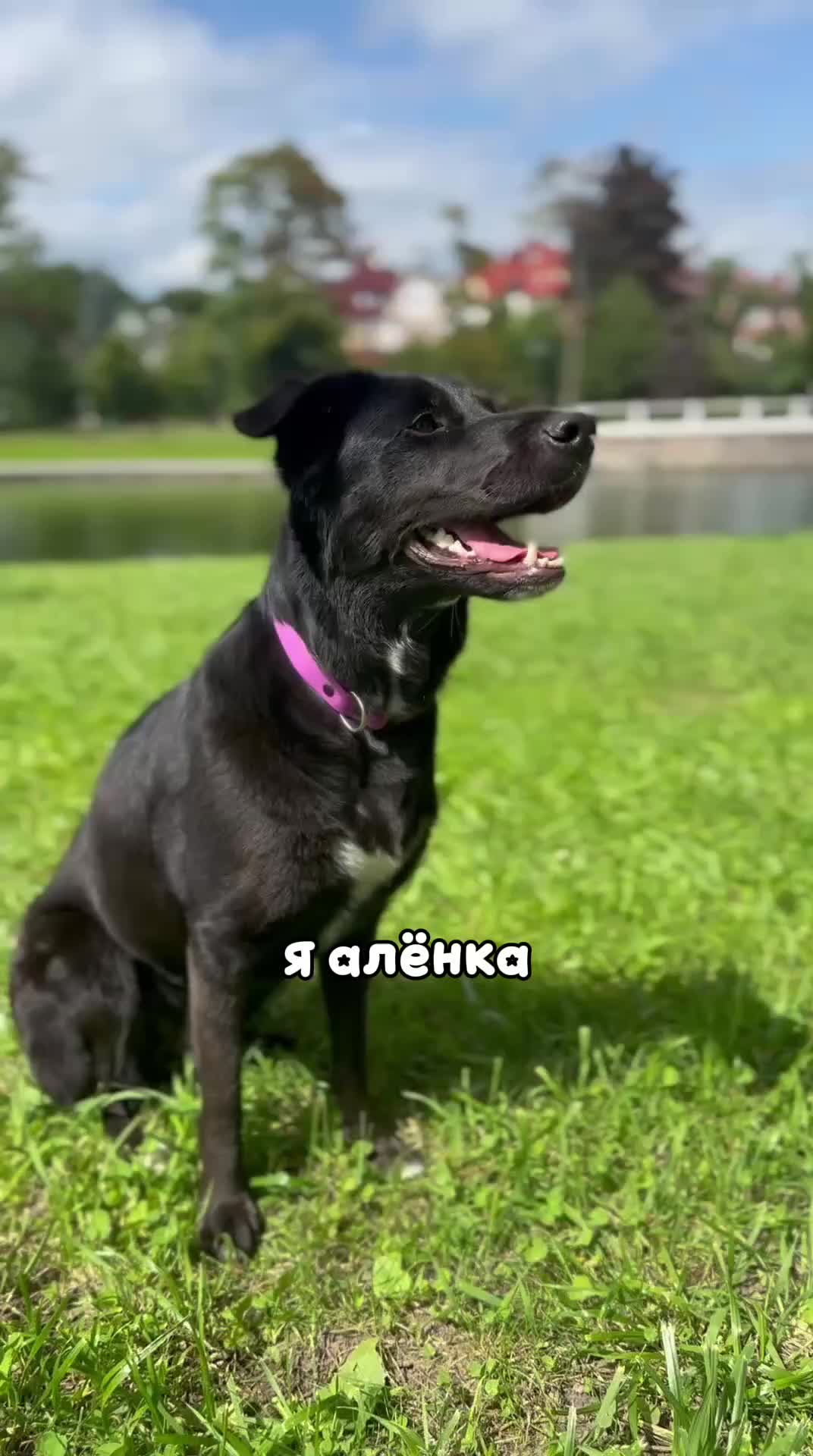 @𝙏𝙚𝙮𝙖🥏🦦