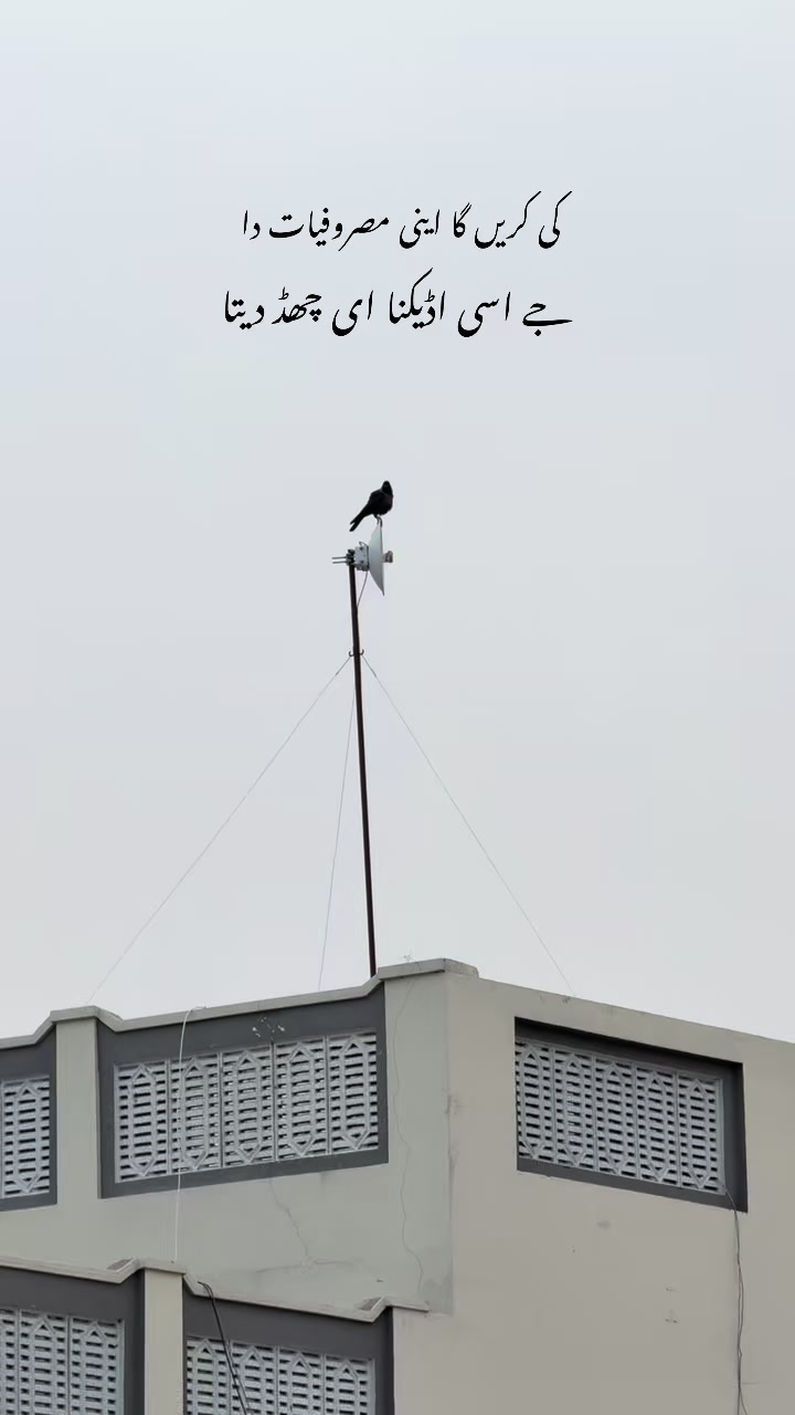 @حمزہ 💫🫀