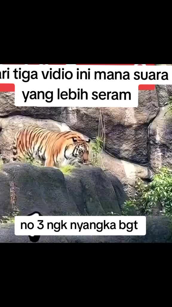@witrriana&yans