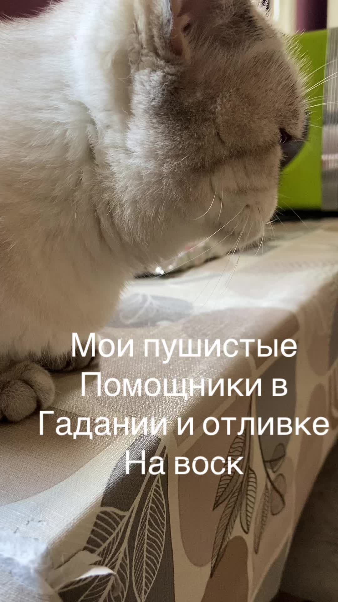 @ВИКУСЯ ЯСНОВИДЯЩАЯ