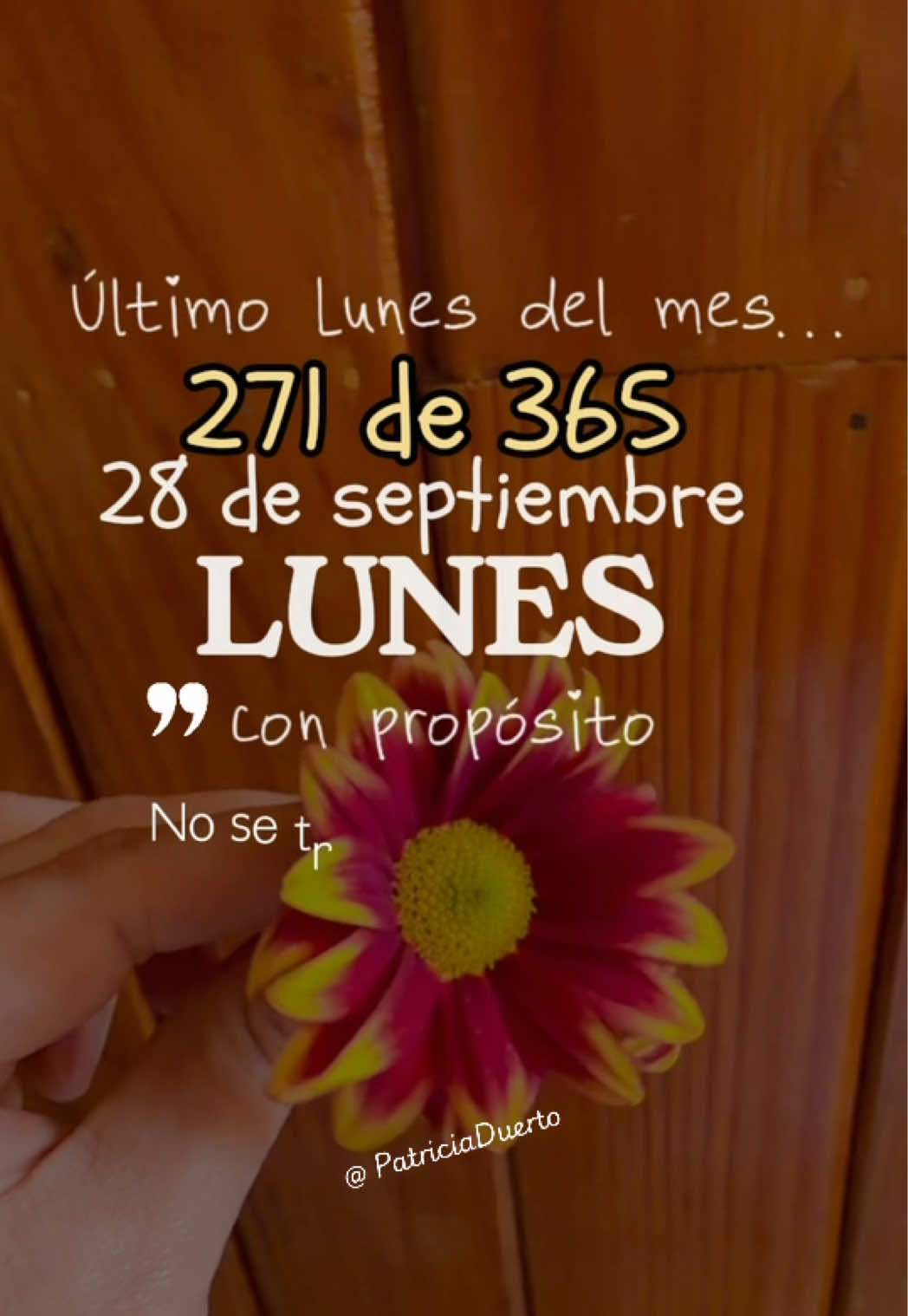 @Patricia Duerto