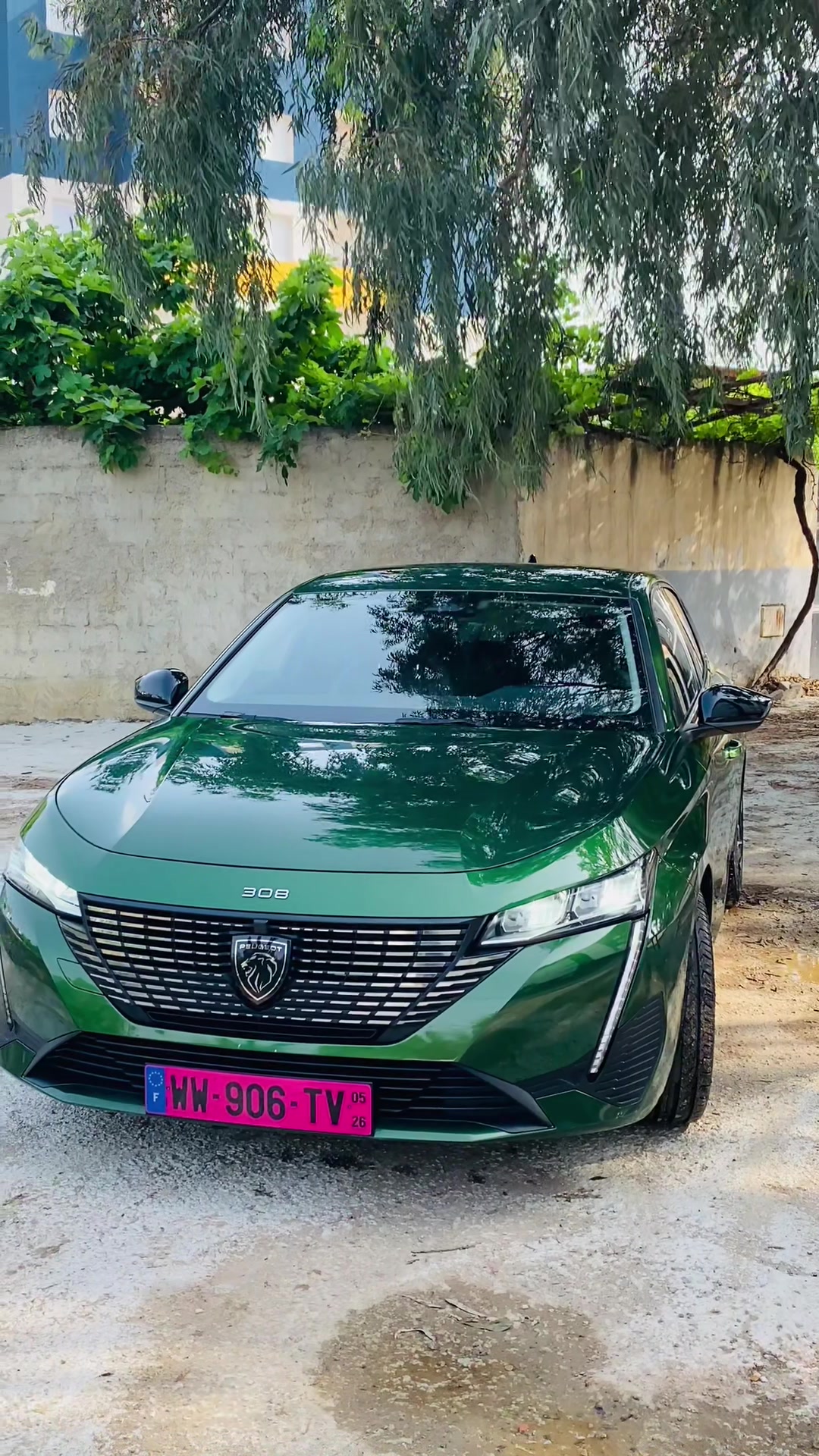 @📸Souhaib_rs3 🧞