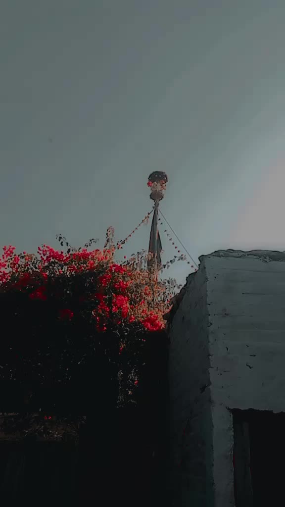 @🏴ALI🏳️