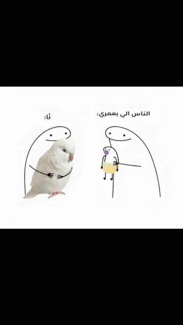 @Ńo