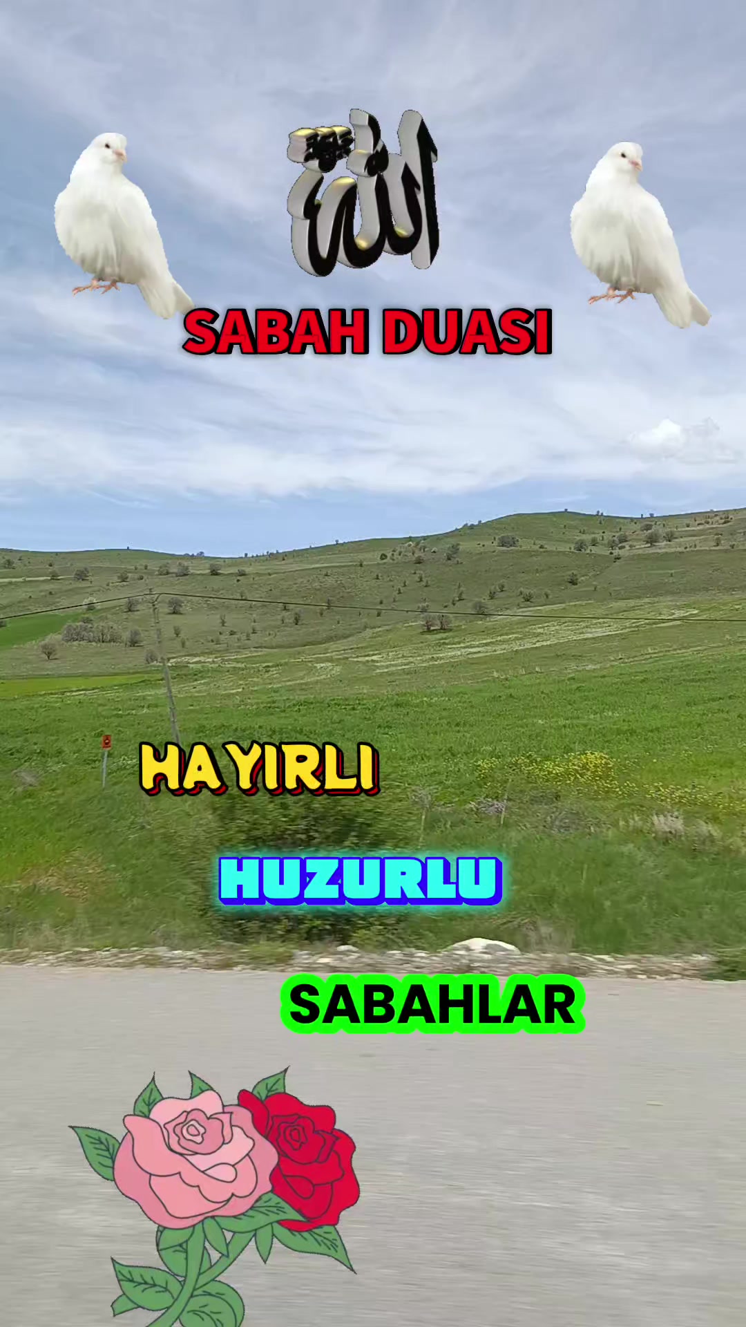 @@hayatsevinceguzel5537