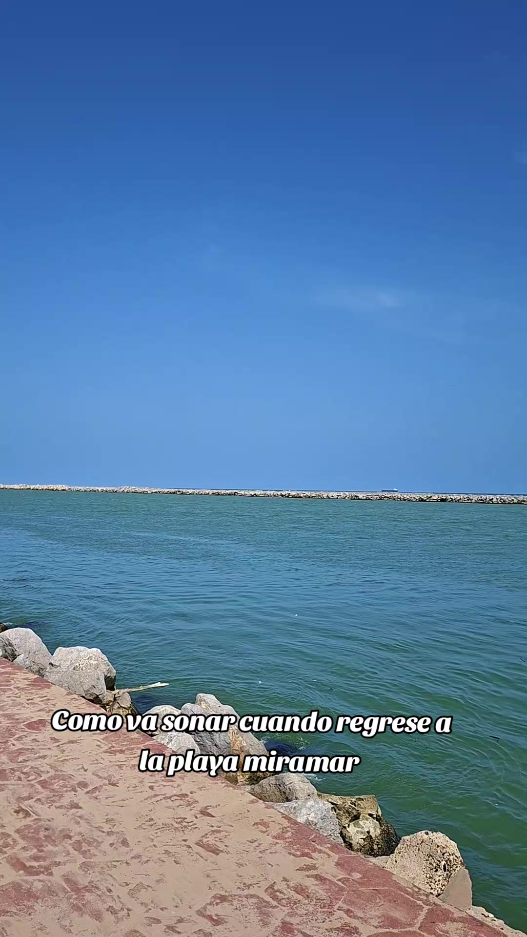 @ミ★ 𝘔𝘢𝘺𝘳𝘢 𝘶𝘷𝘢𝘭𝘭𝘦 ★彡