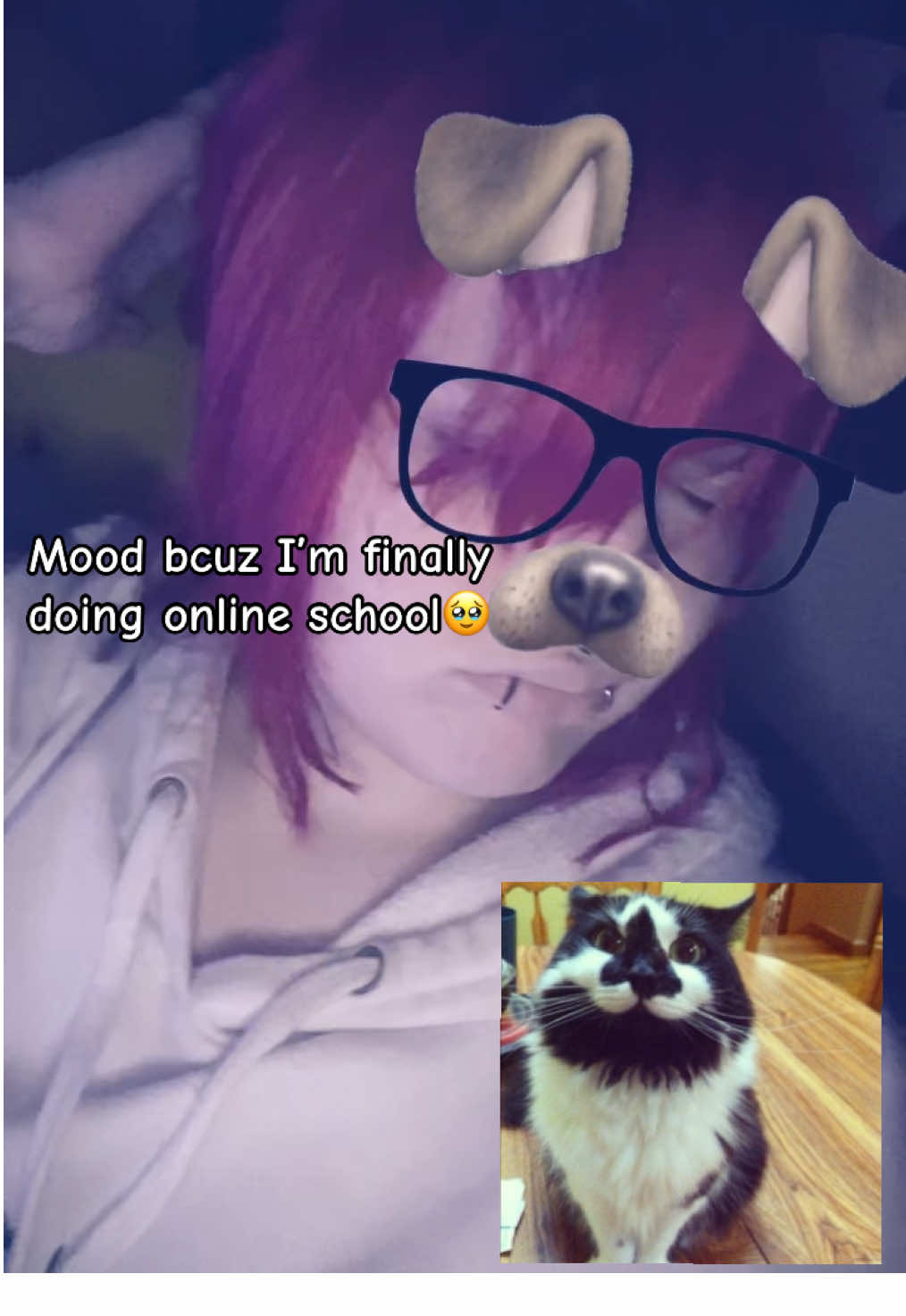 @༻ Matt 𝄞⨾ ༺