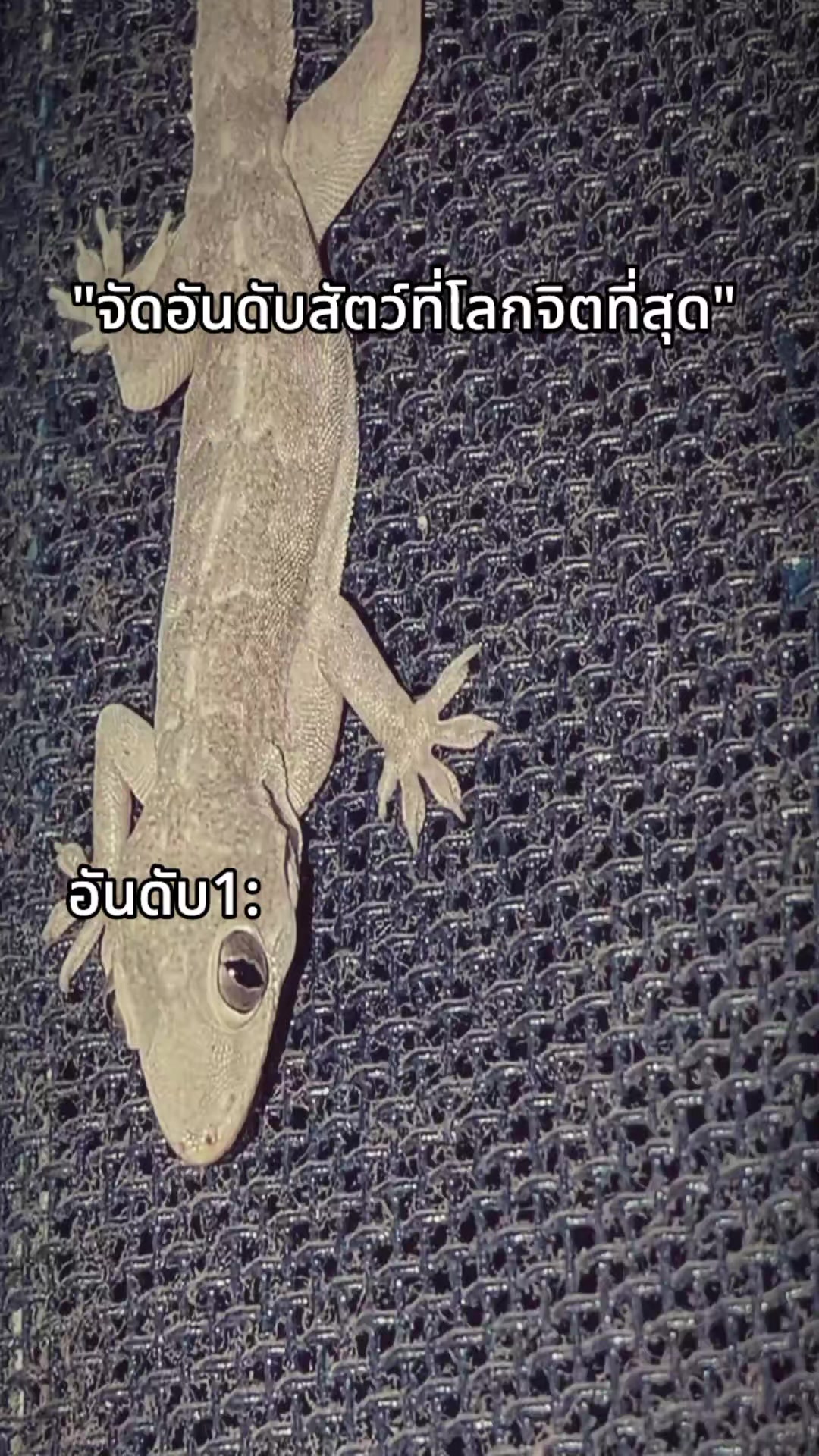 @ຫ້ະອີ່ຫຍັງນະ