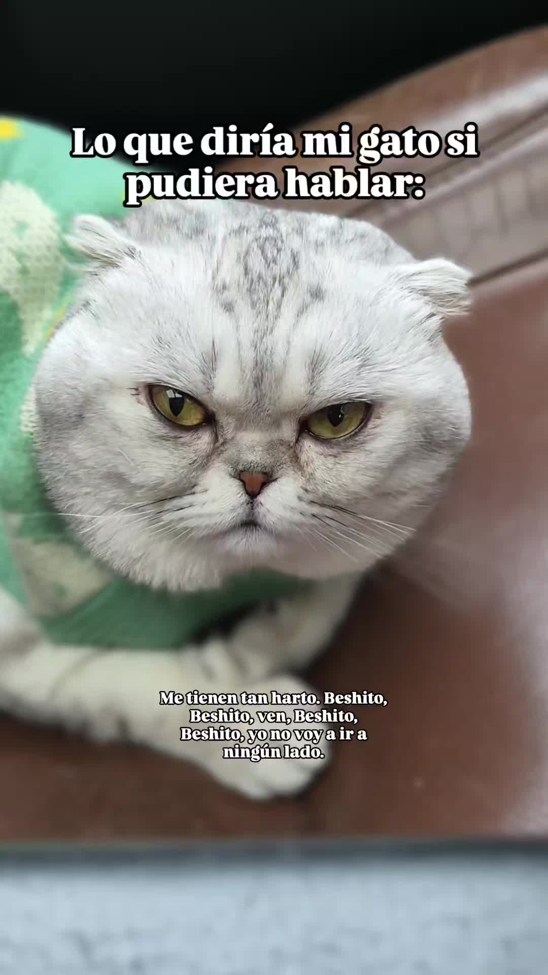 @ccelesterobless