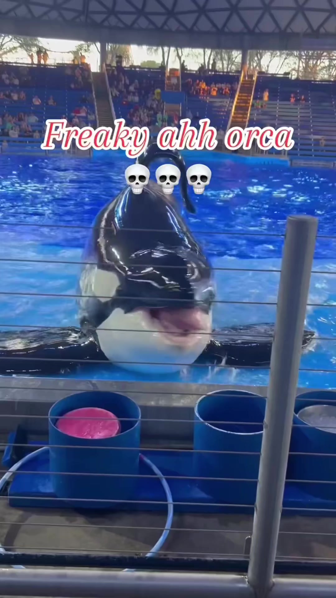 @lianepurcell54