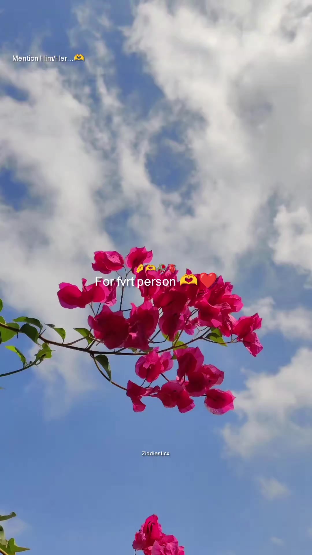 @Ziddi Prince-๐ซ๐ค