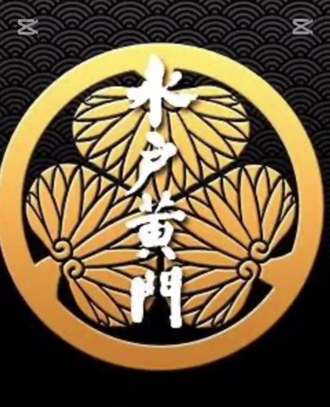 @ヤスクリ三世安田フジテレビモノマネオーディション経験あります