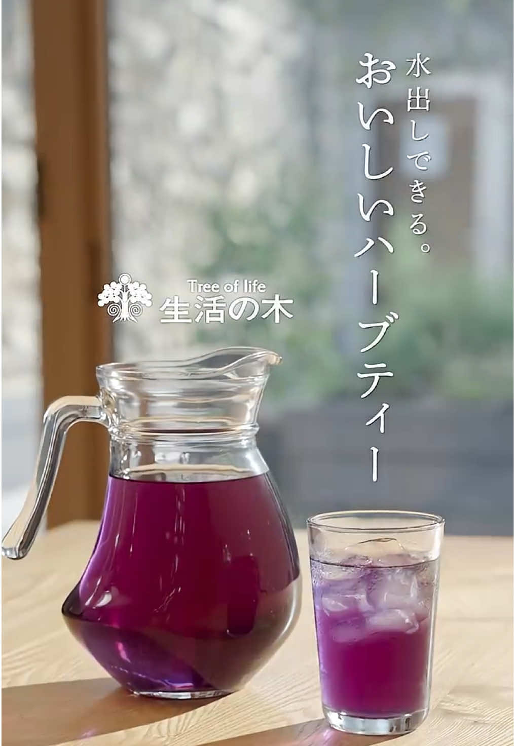 @生活の木【公式】