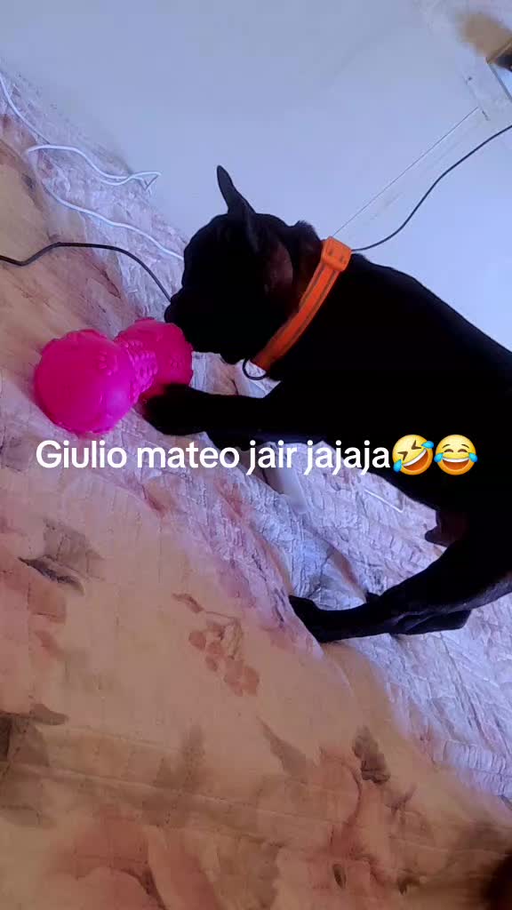 @kayetana🇵🇪🍀🇮🇹Davila
