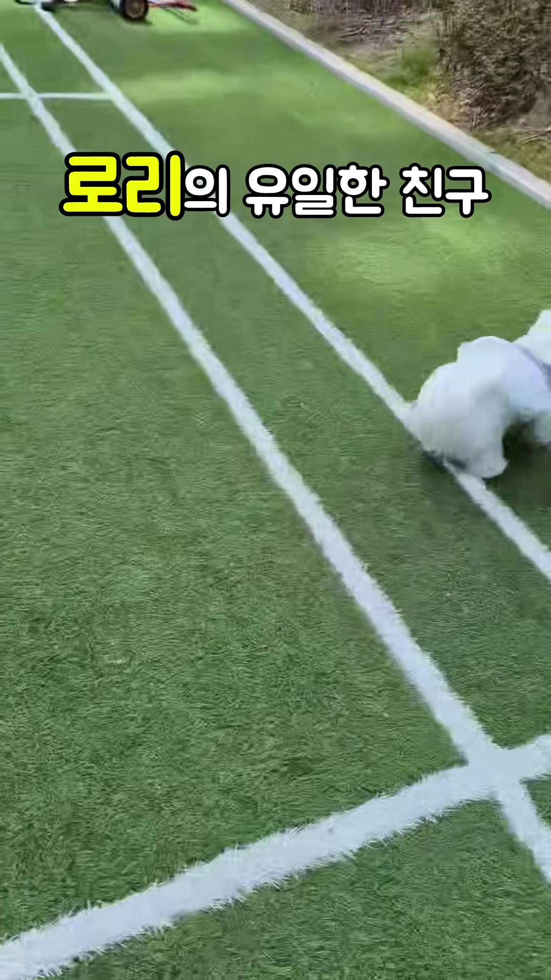 @꼬똥로리