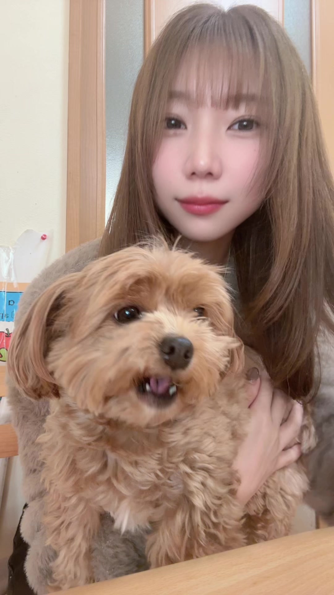 @ใใ๐ฉ๐พ