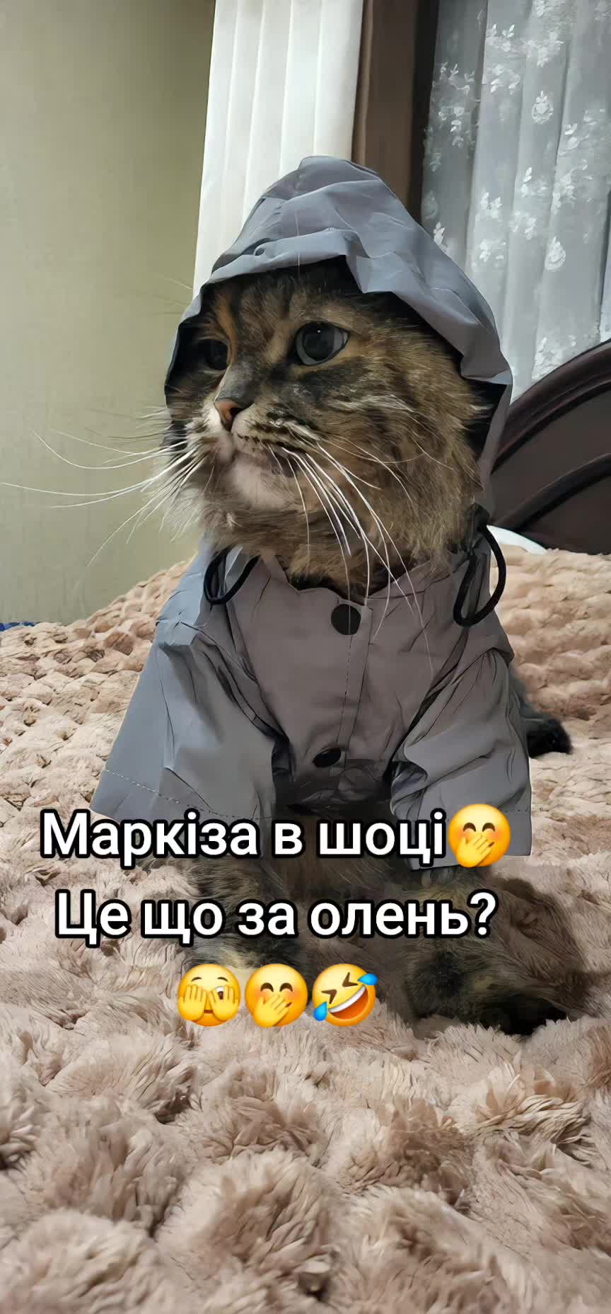@Zorka