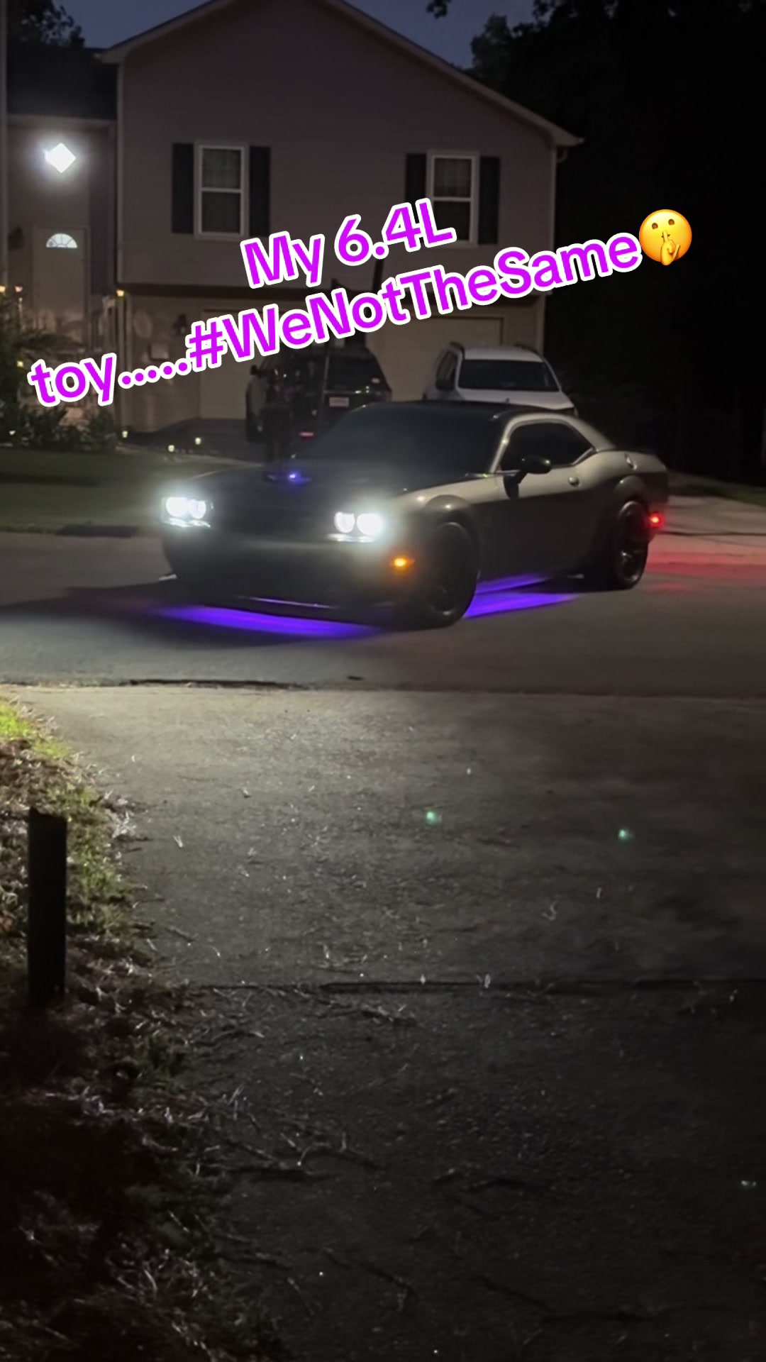@scatpack_rico