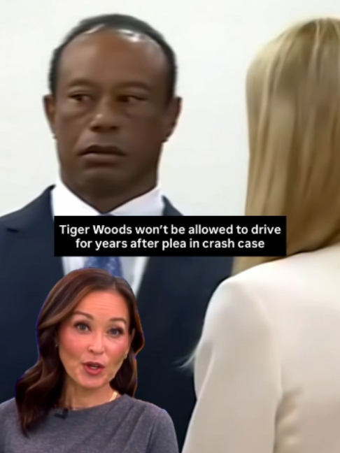 @Inside Edition