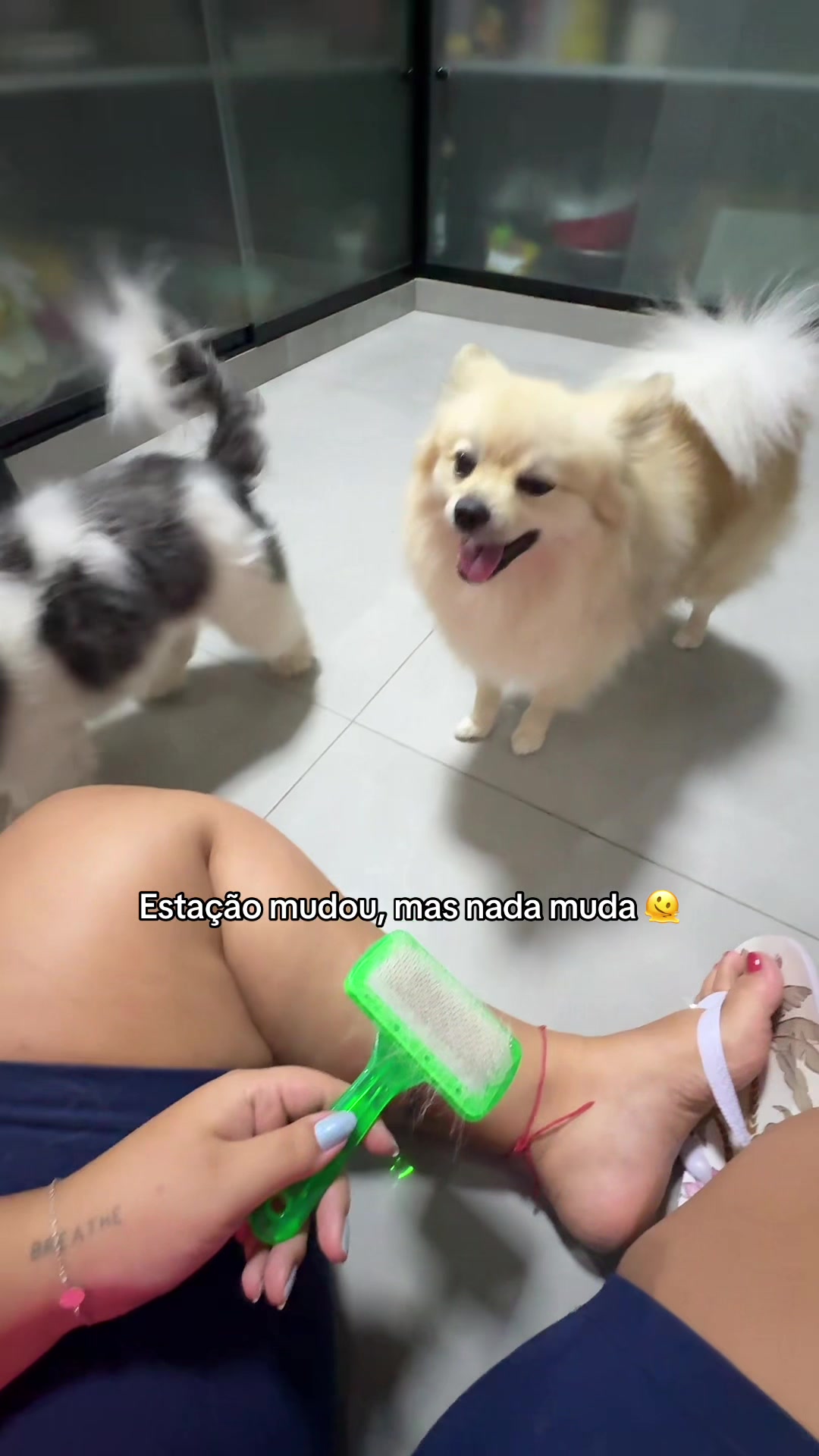 @Gaby Menon