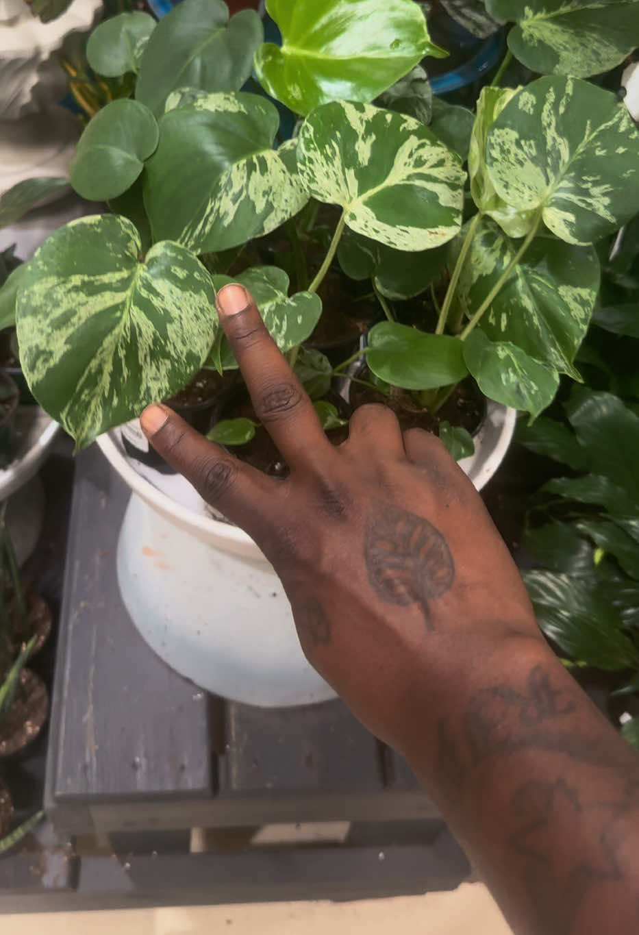 @Plant Deco ATL
