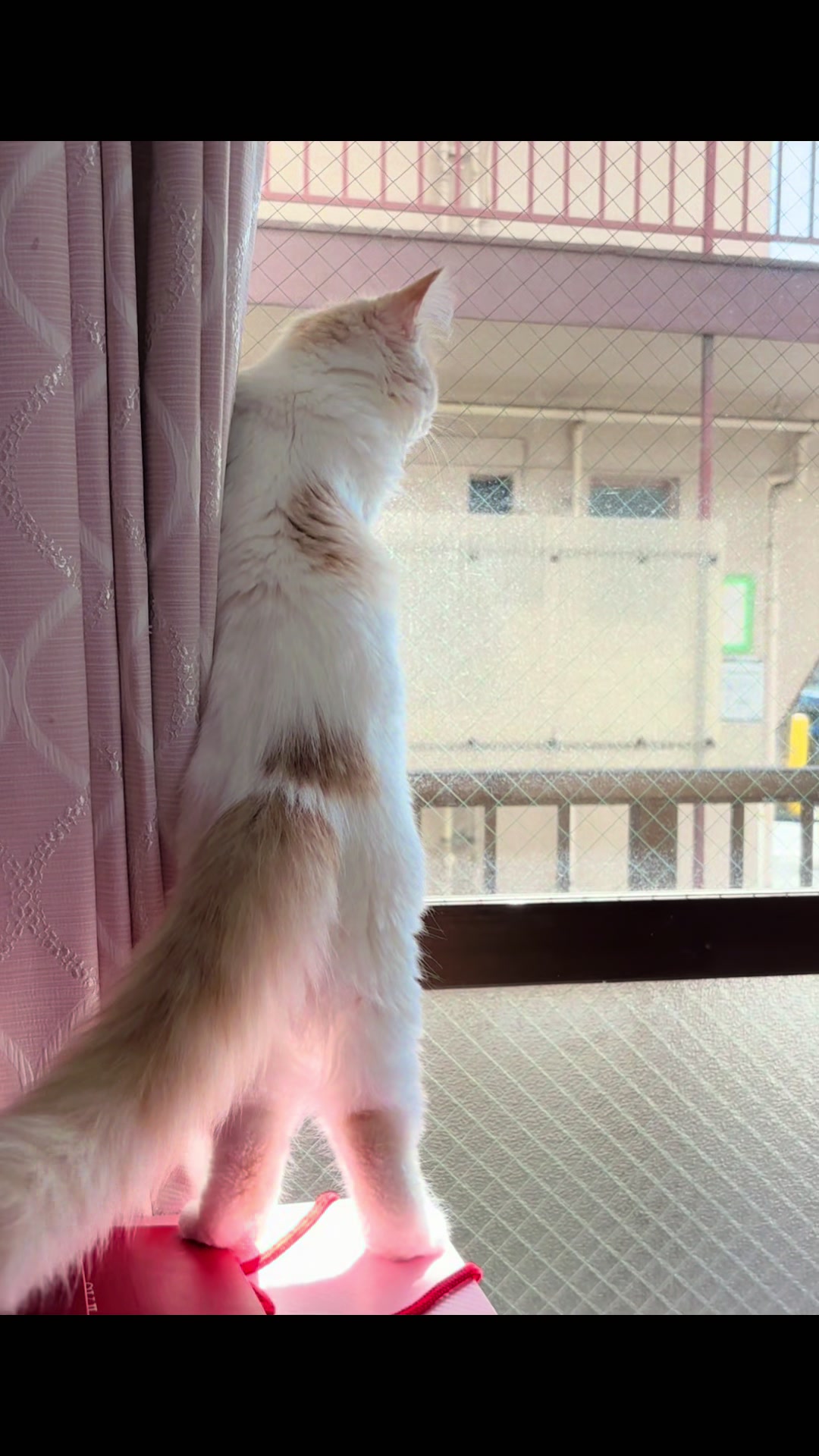 @Kiki