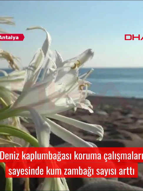 @Demirören Haber Ajansı