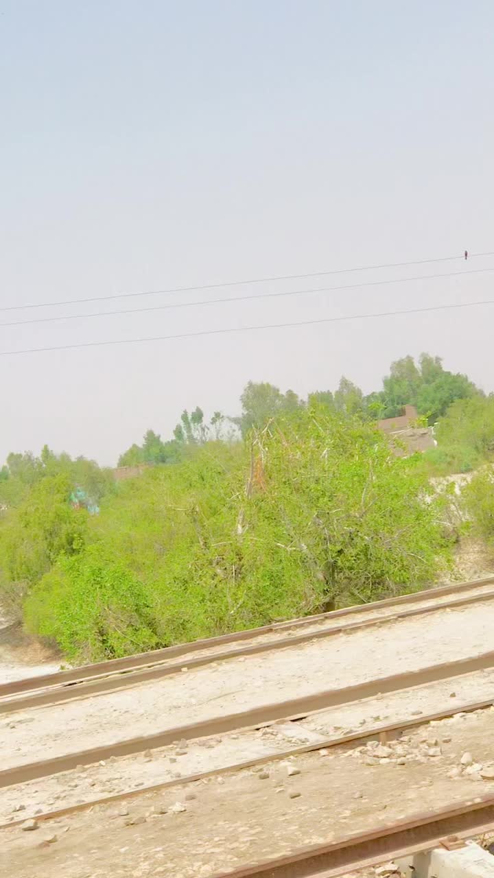 @King-Panah-Sindhi