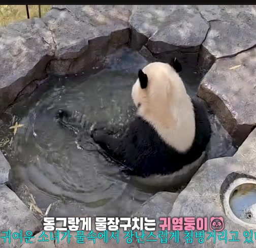 @K-PANDA kim