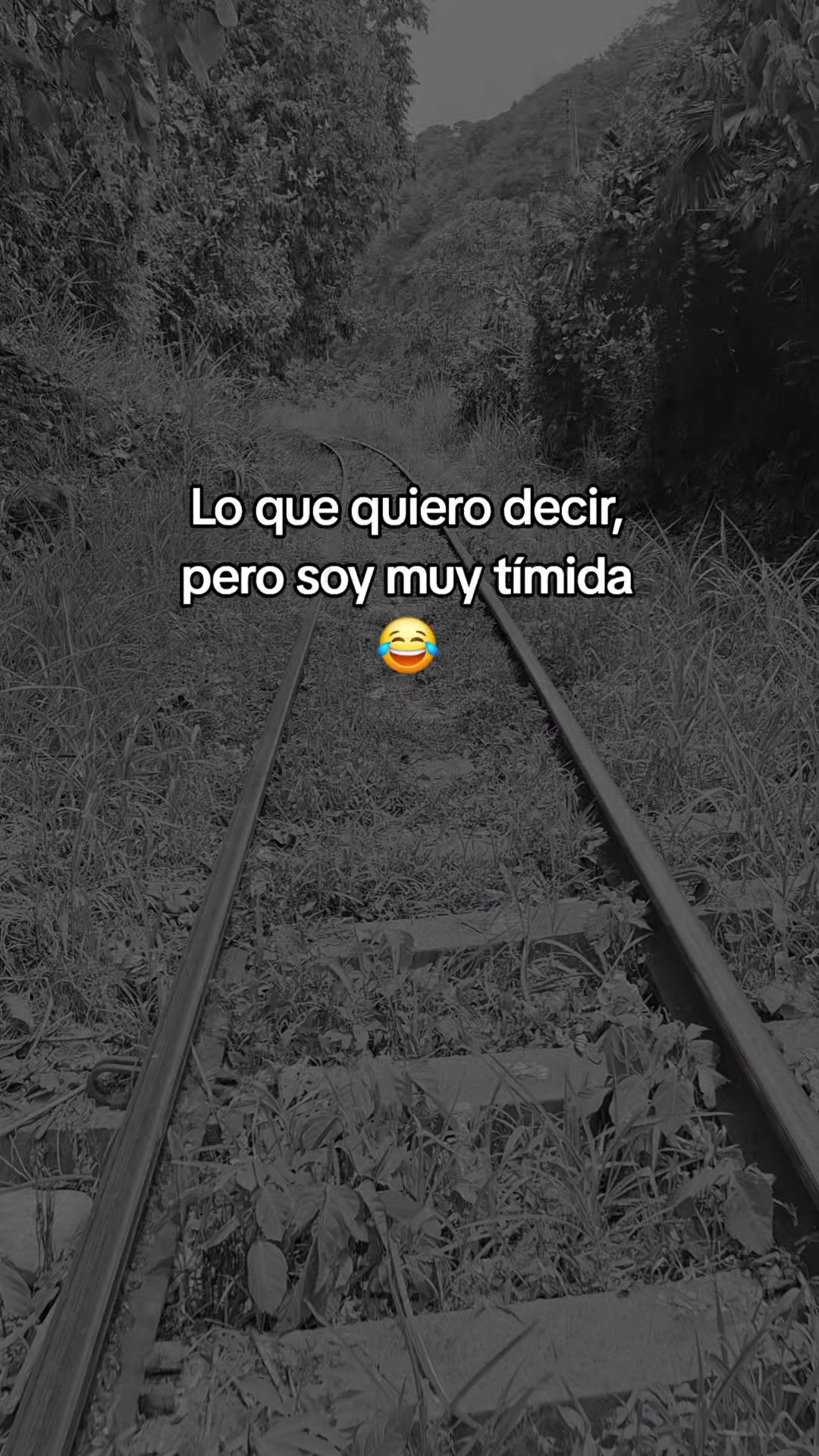@Y I S E T 💙 👑