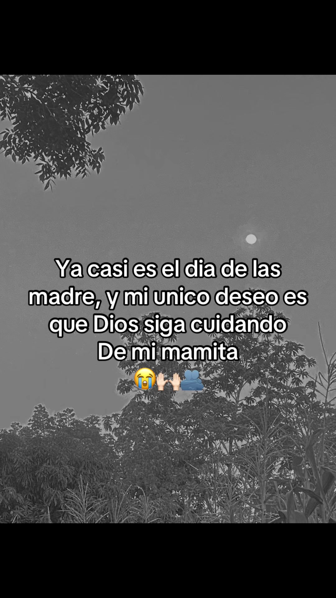 @🫦carolina alias samy  🫆