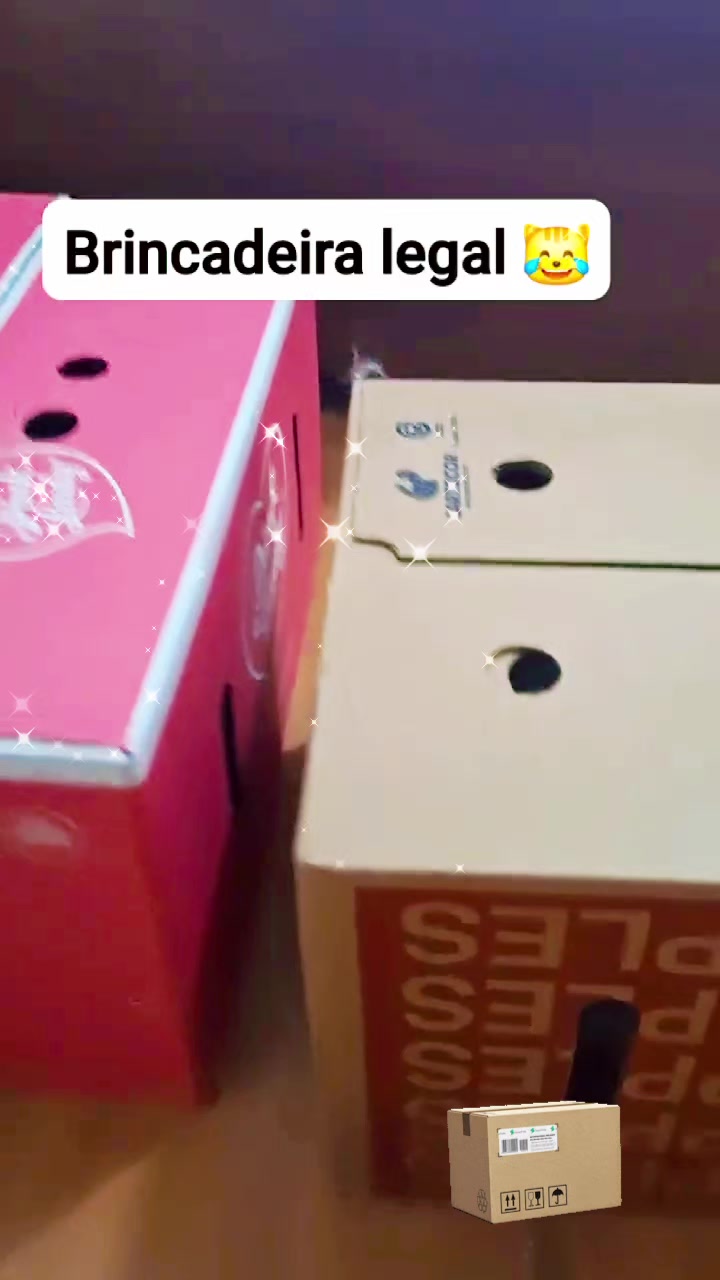 @MagdaAmoAnimais😾🐶🕊