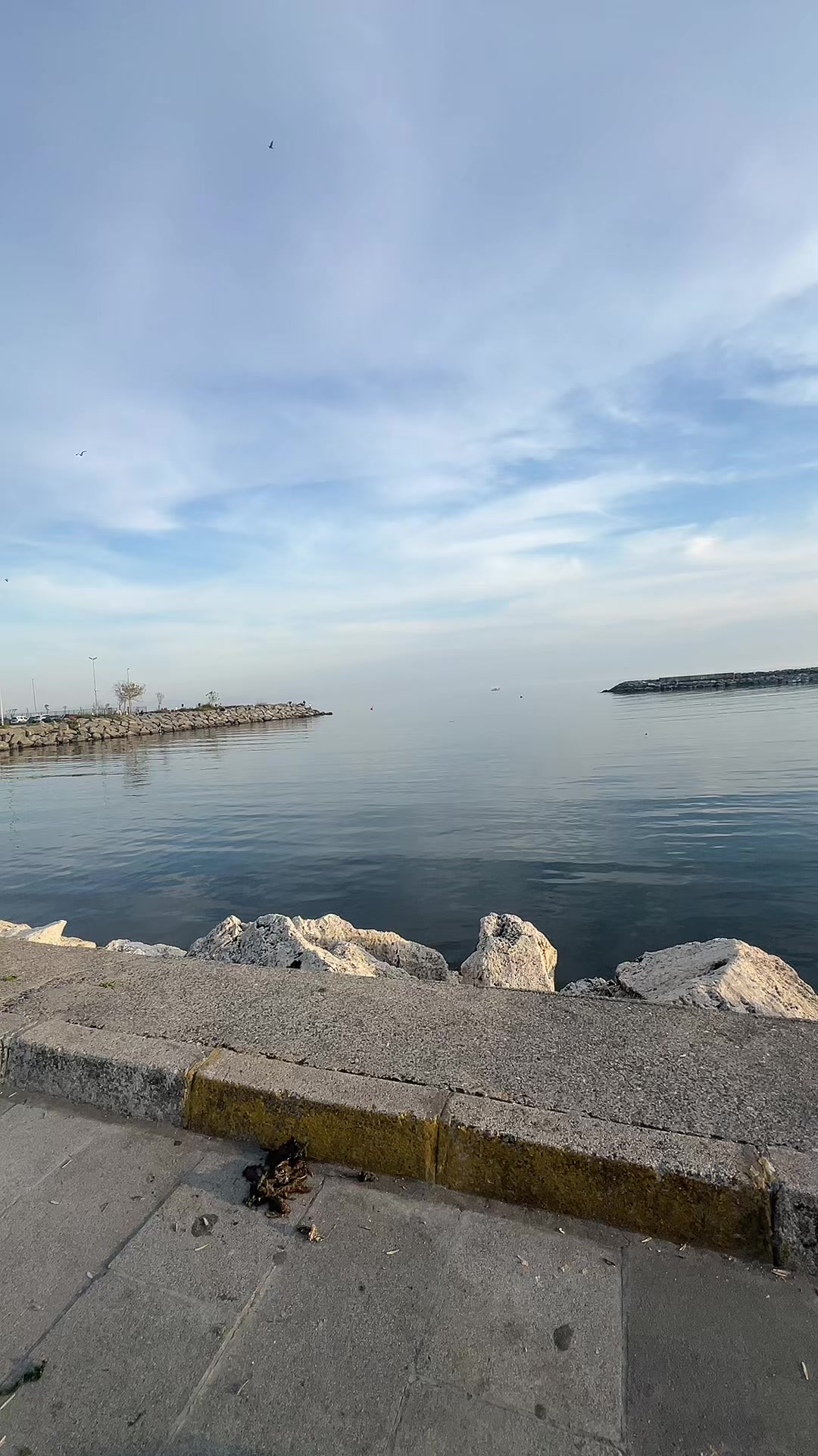 @🇩🇿🇹🇷Halouma Pandita