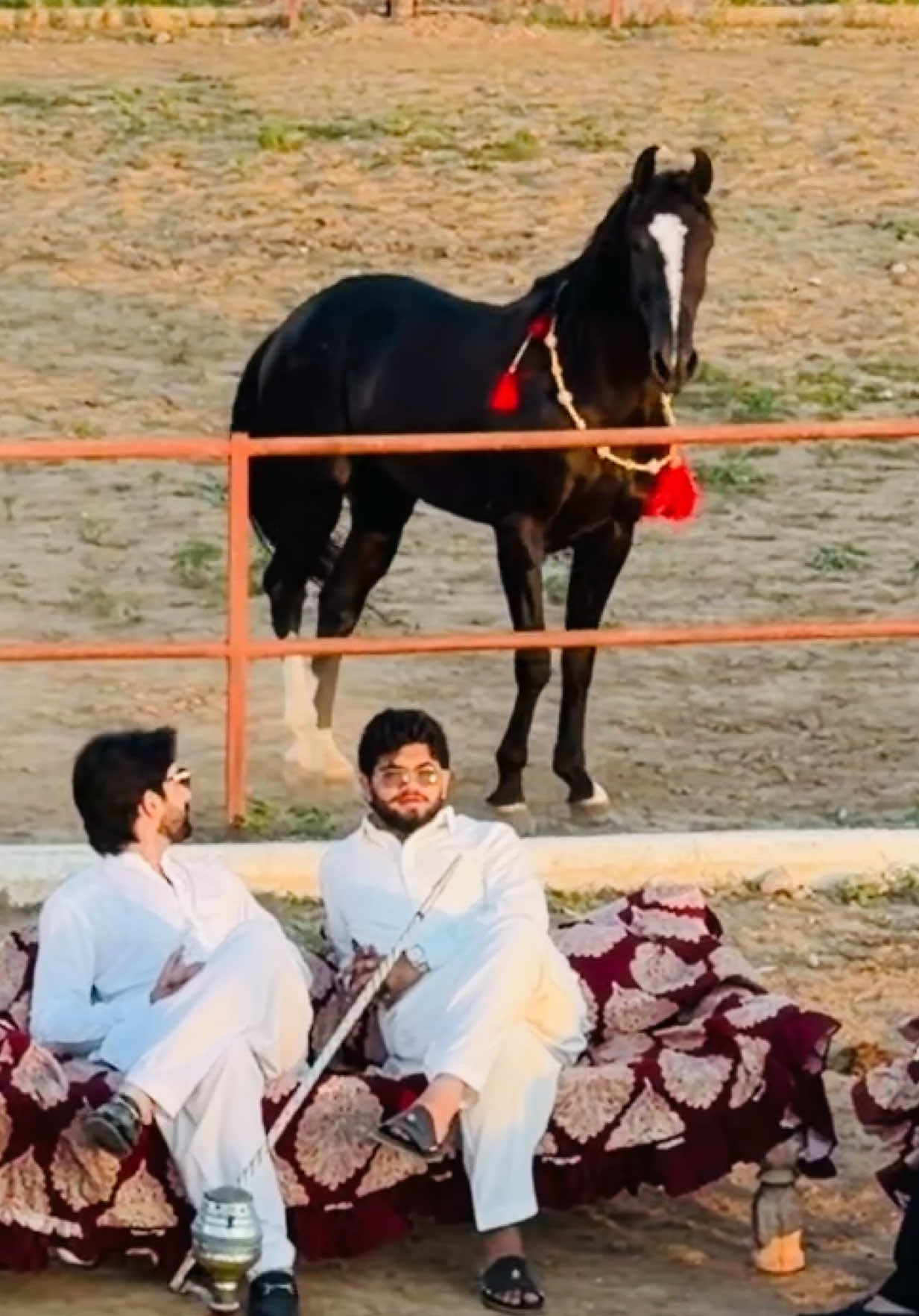 @#DSA🐎