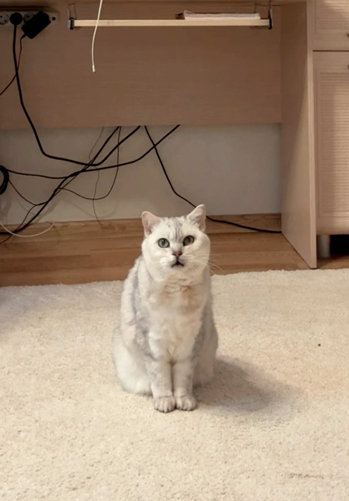 @смрнст, которая настя