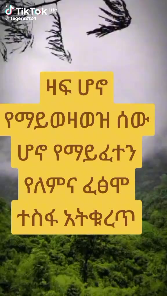 @nekor