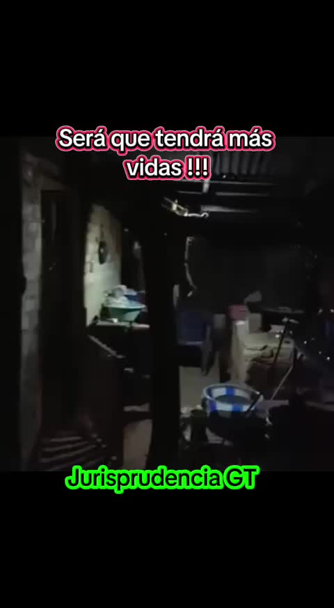 @Jurisprudencia GT