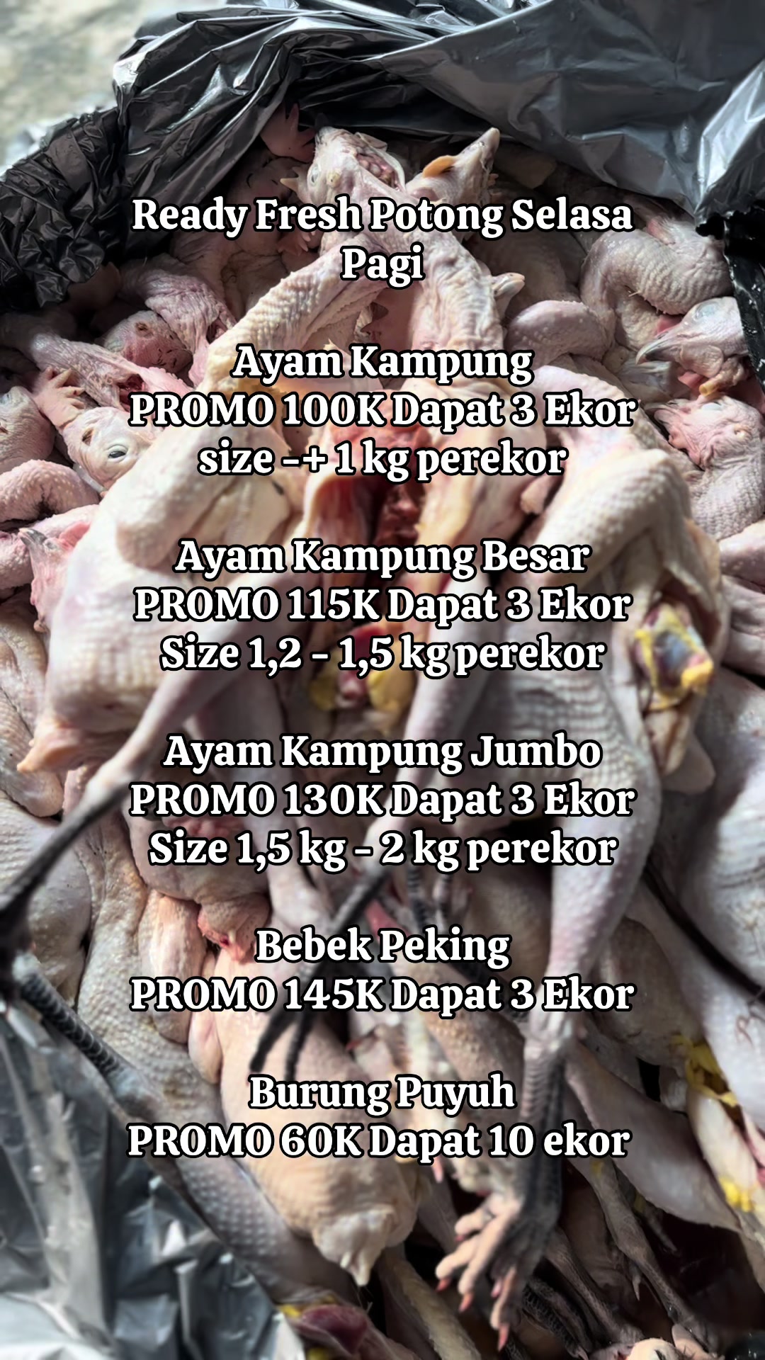 @pesekseafood